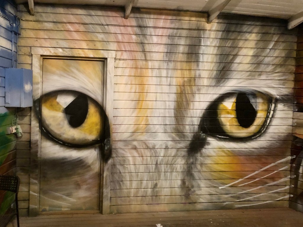 Kattögon | Viljans Park –&nbsp;Fritsla