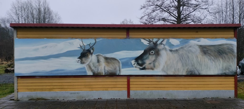 Renar i vinterlandskap