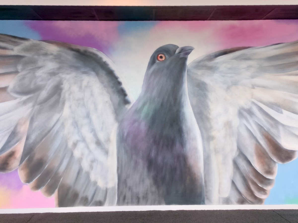 Fri som en&nbsp;fågel