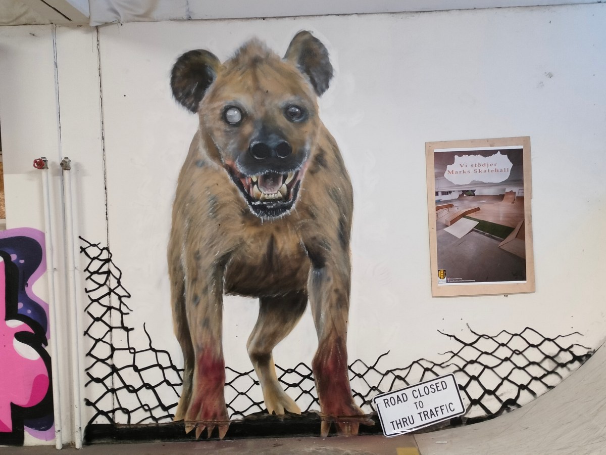 Hyena – Decay&nbsp;skatehall