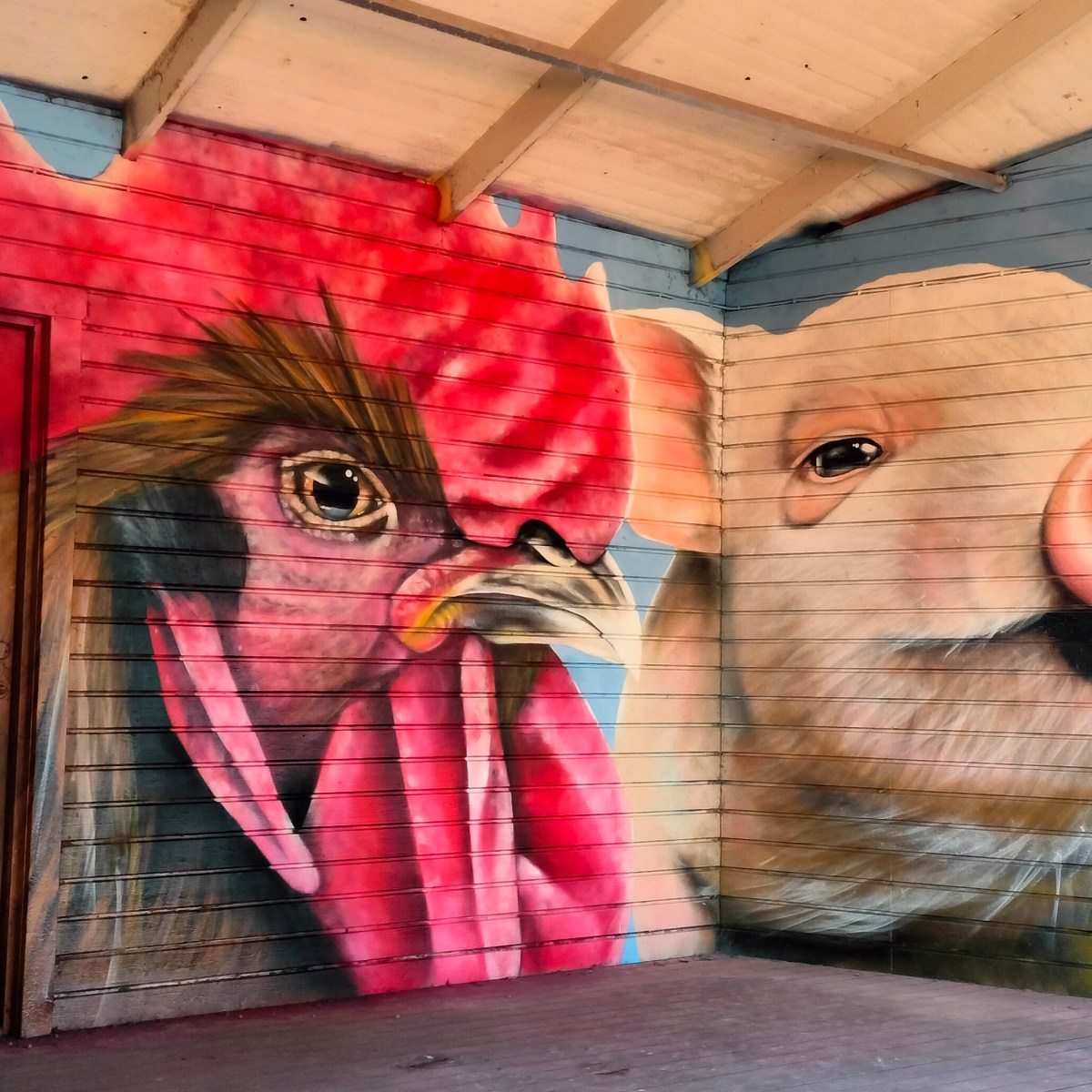 Tuppens kompis grisen