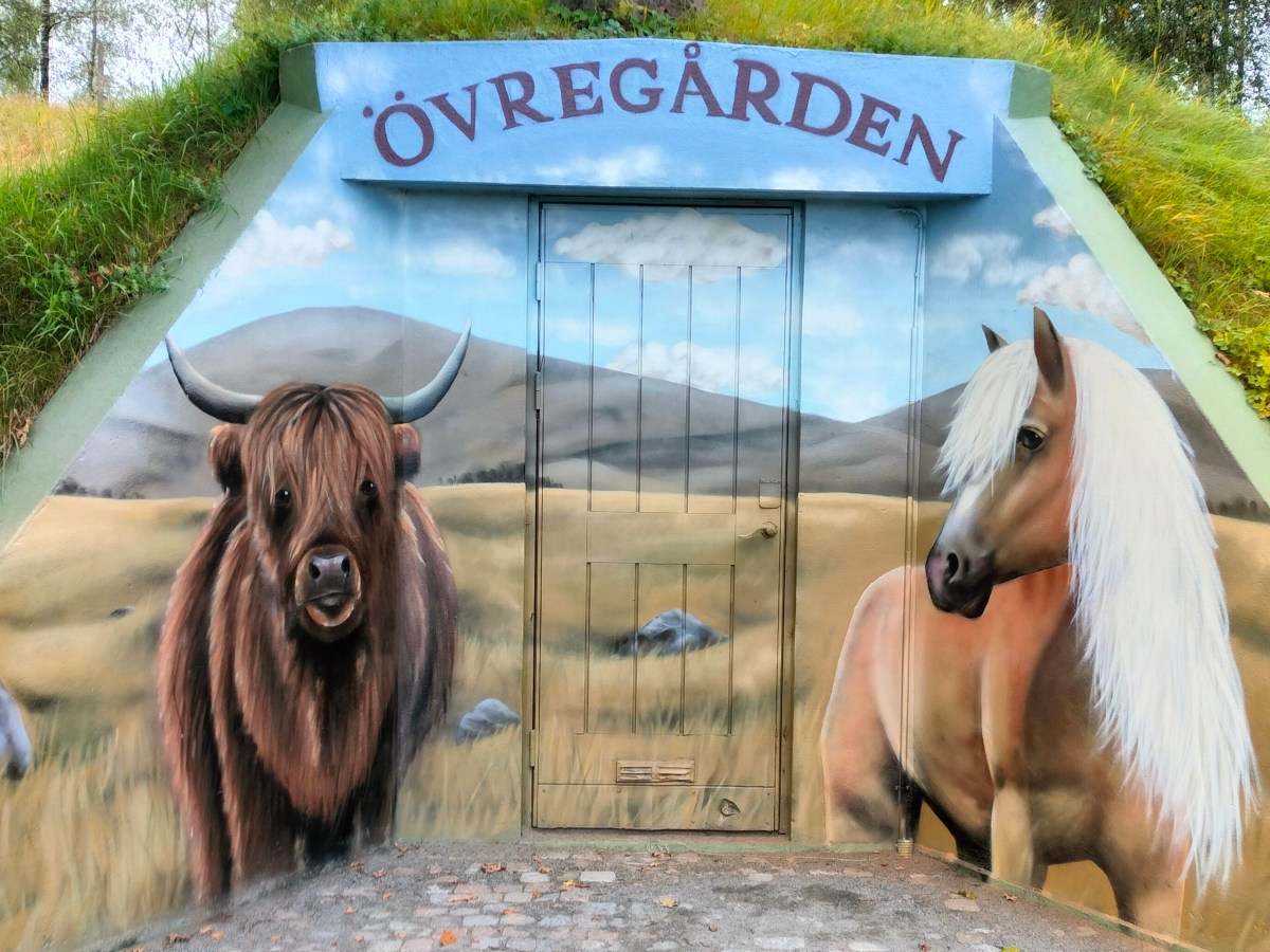 Highland kettle och&nbsp;Haflinger