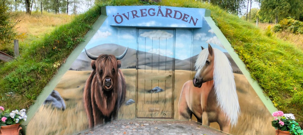 Highland kettle och&nbsp;Haflinger